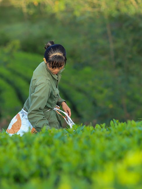 Expat dating en internationale relaties succesvol navigeren