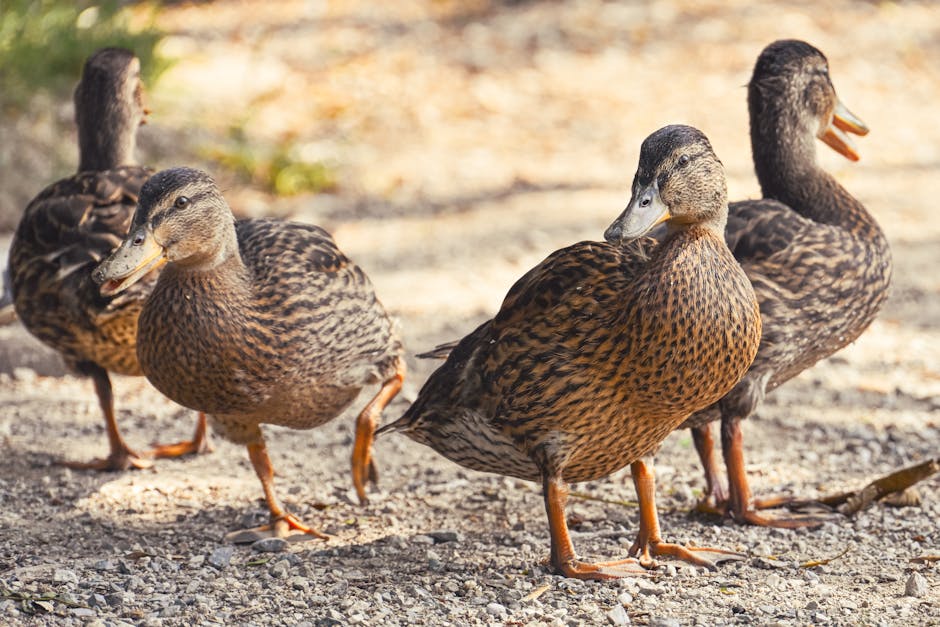 Effectieve onderwerpregels voor succesvolle e-mailmarketingcampagnes