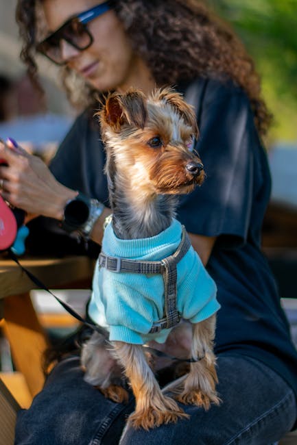 Veilig Chatten met Onbekenden