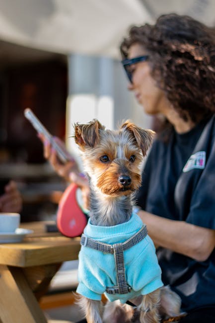 Online Dateren Succesvol met deze Tips en Waarschuwingen