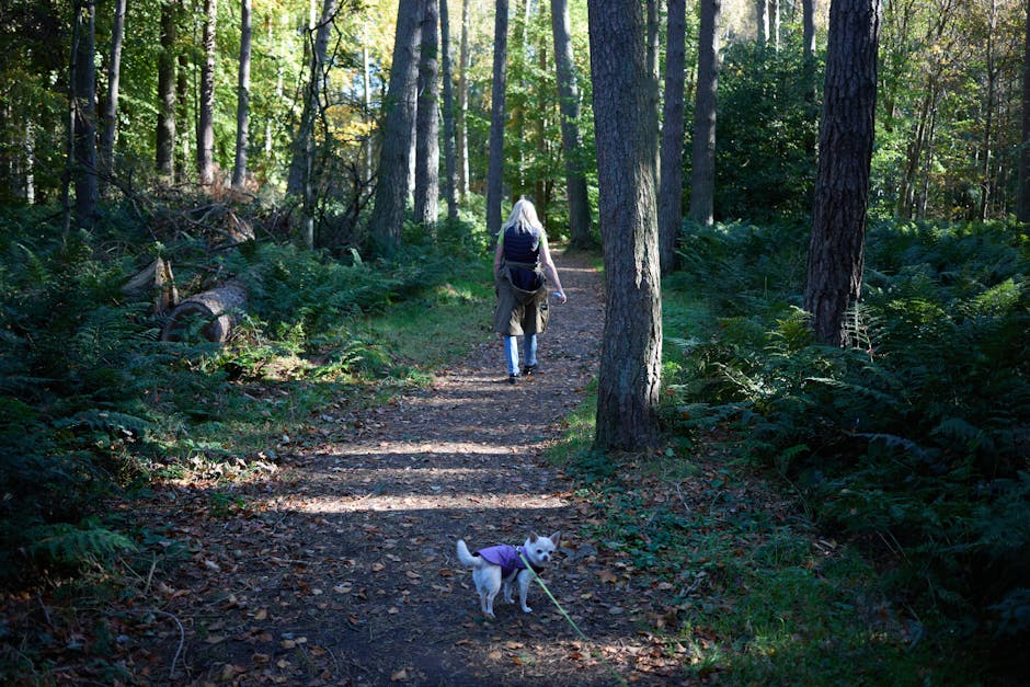 Nepprofielen Spotten Online Safety Tips